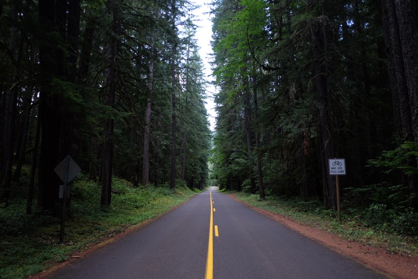 The Old McKenzie Highway. Easily the most beautiful road I've ever ridden. The sign says "Bicycles May Use Full Lane."